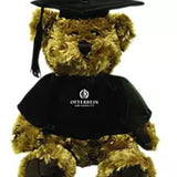 Graduation Teddy Bear