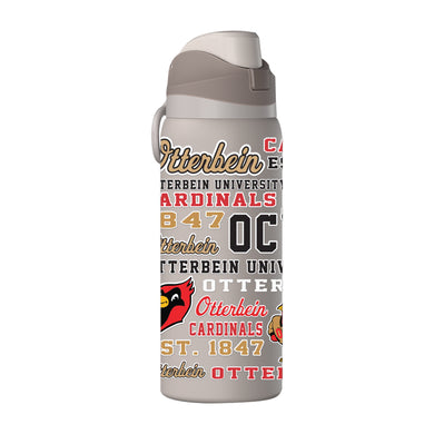 HydraPeak 32 oz Oasis Water Bottle | Mocha